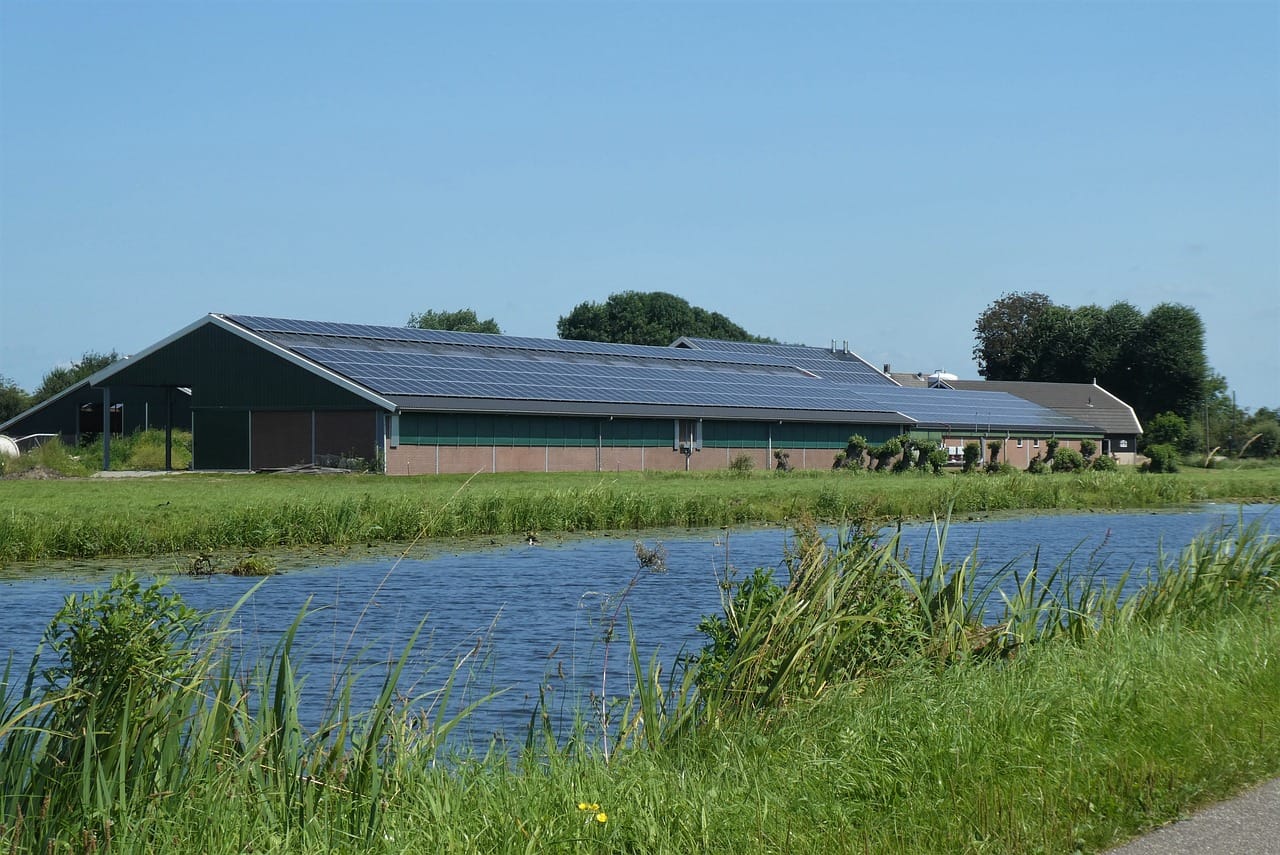 Farm 6479771 1280